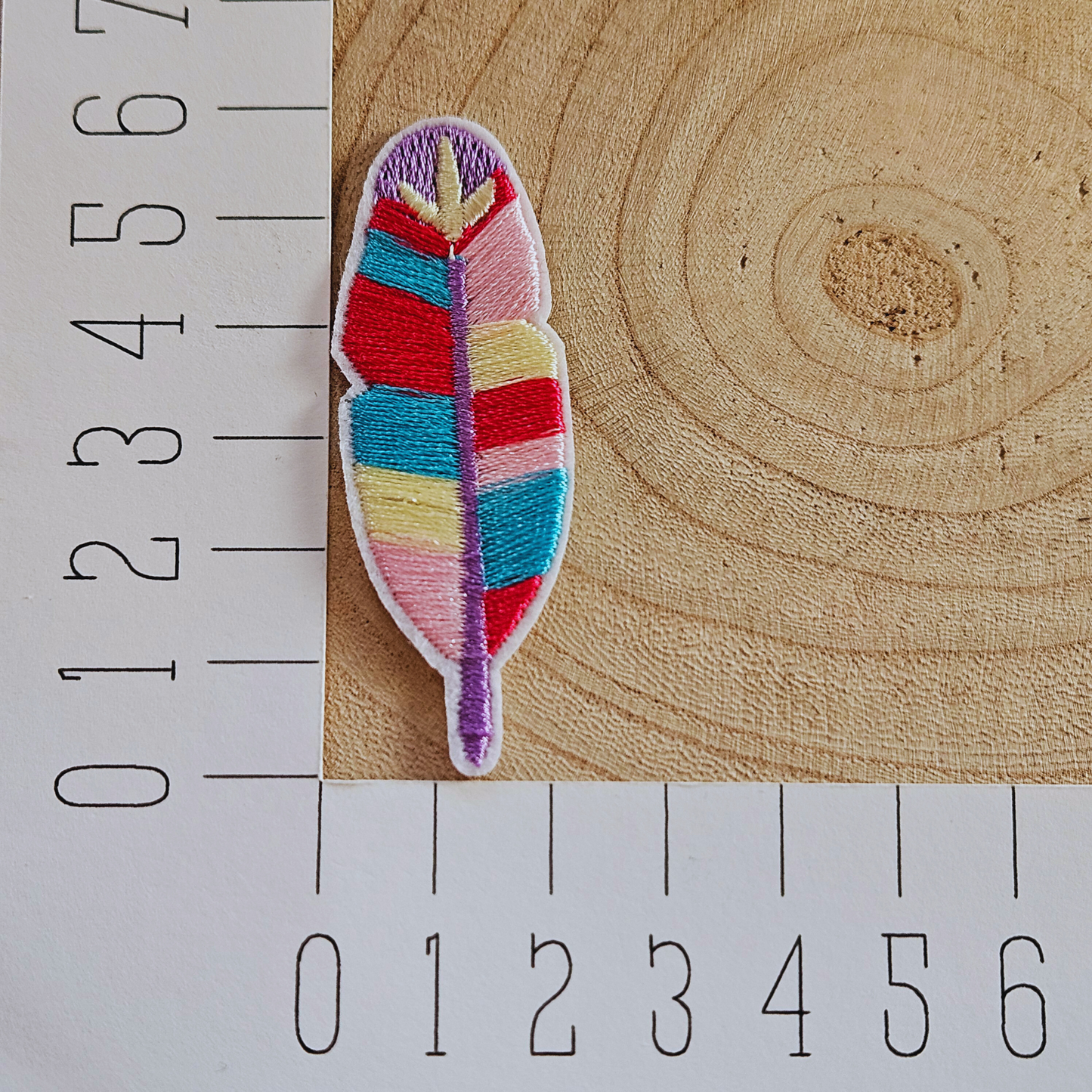 Strijk embleem - Iron on Patch - Regenboog veer