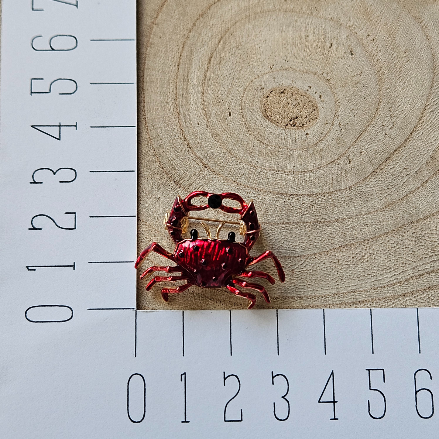 Broche - Krab