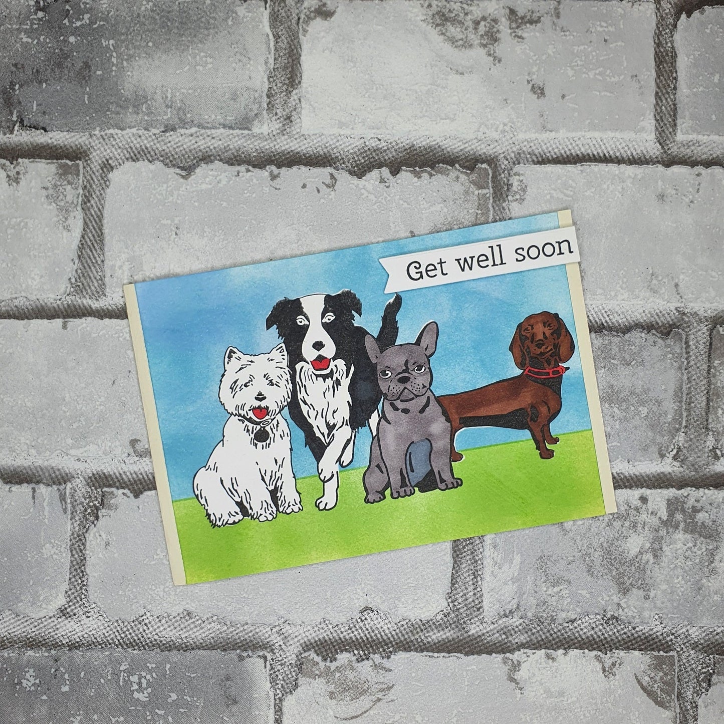 Beterschap kaart - Honden - Get well soon - Hobby en meer