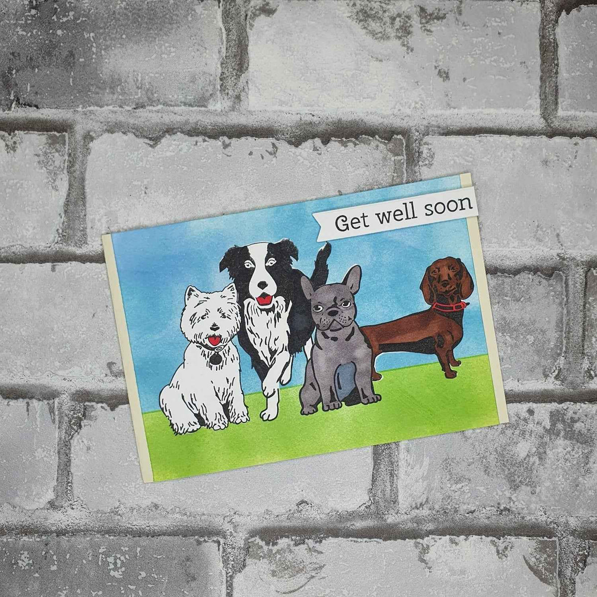 Beterschap kaart - Honden - Get well soon