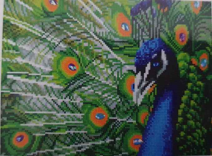 Diamond painting pauw- 42 x 32 cm - Ronde steentjes