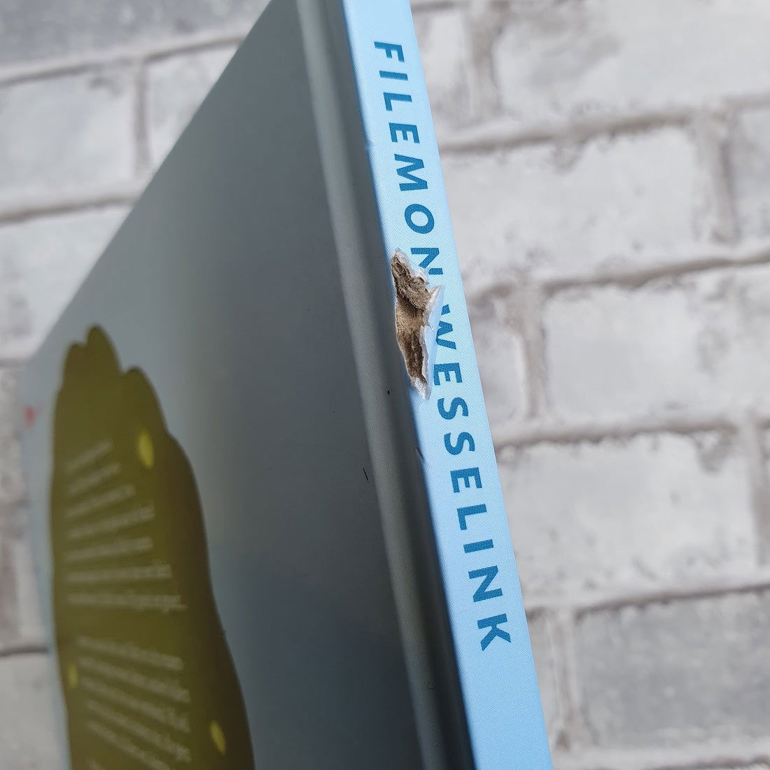 Eddy en de reuzen snottebel - Filemon Wesselink - Hardcover - *Oeps - Hobby en meer