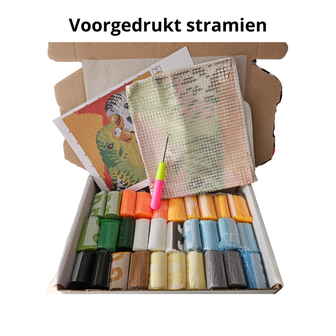 Latch hook kussen Parkieten - 43 x 43 cm - Hobby en meer