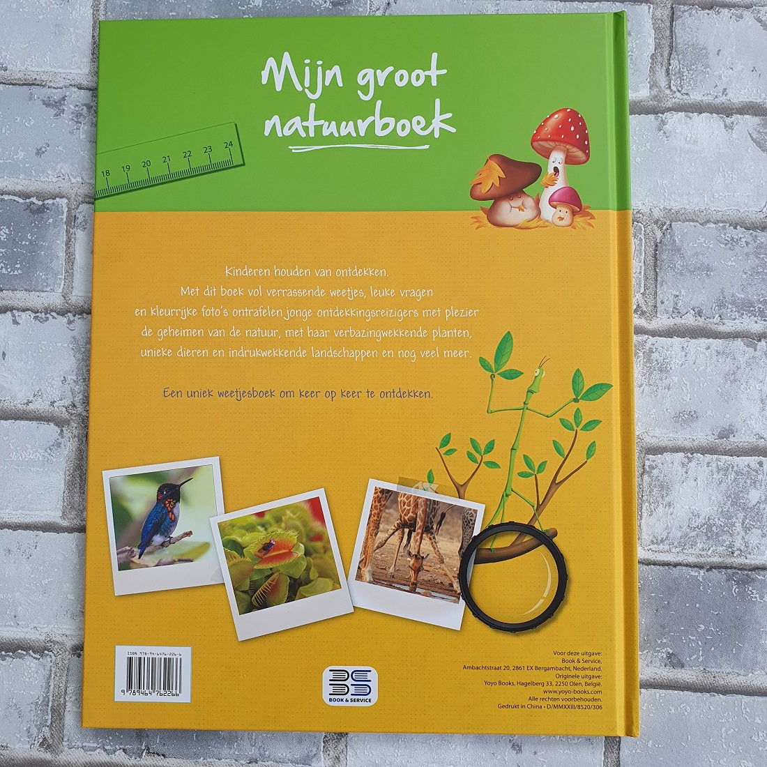 Mijn groot natuurboek - Hardcover - Hobby en meer