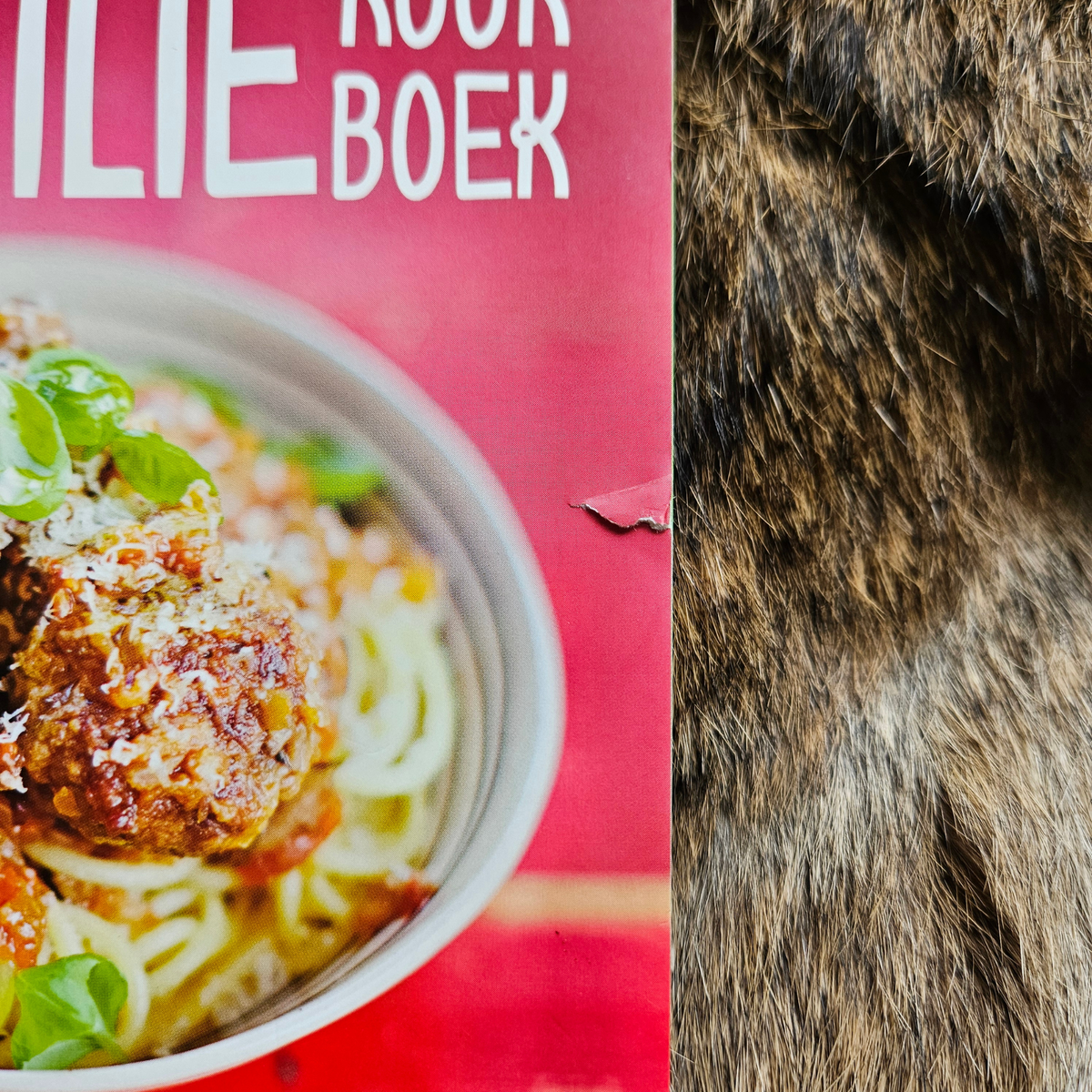 Oeps* Kookboek - Jamie Oliver's Foodtube - Het familie kookboek - Paperback