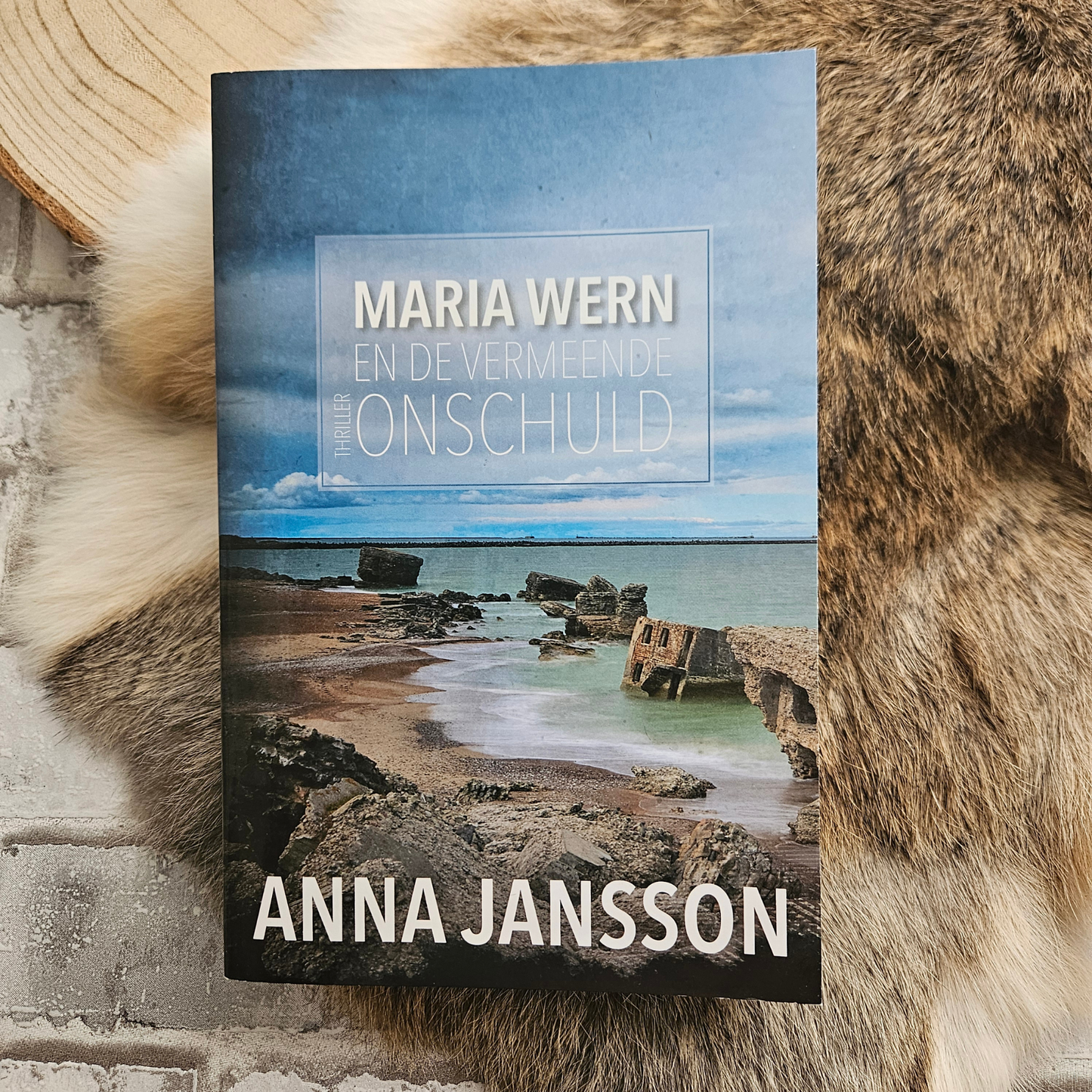 Maria Wern en de vermeende onschuld – Anna Jansson – Paperback