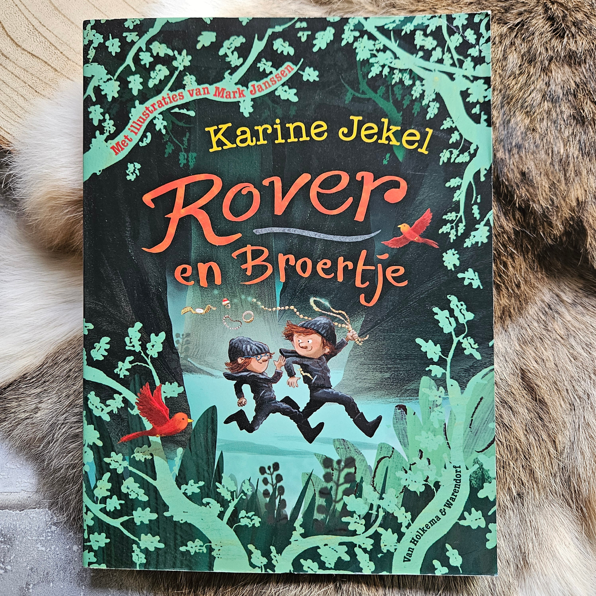 Rover en Broertje – Karine Jekel – Paperback