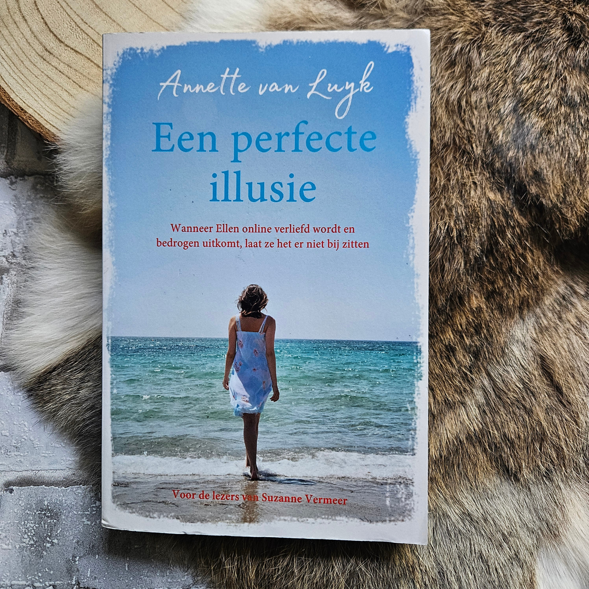 Een perfecte illusie - Annette van Luyk -  Paperback