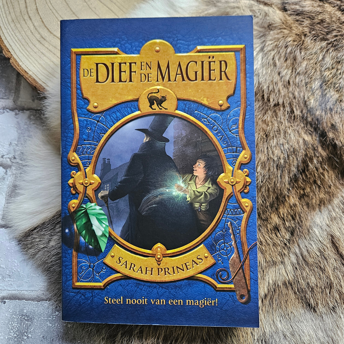 De dief en de magiër – Sarah prinseas – Paperback