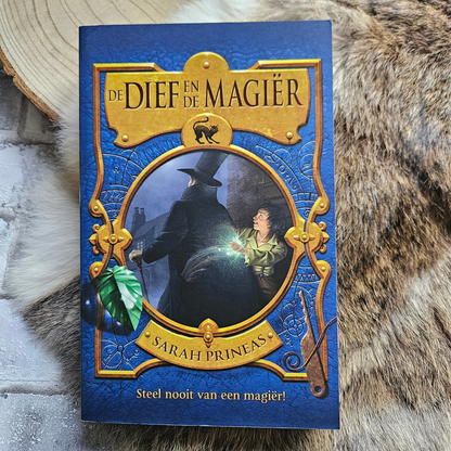 De dief en de magiër – Sarah prinseas – Paperback