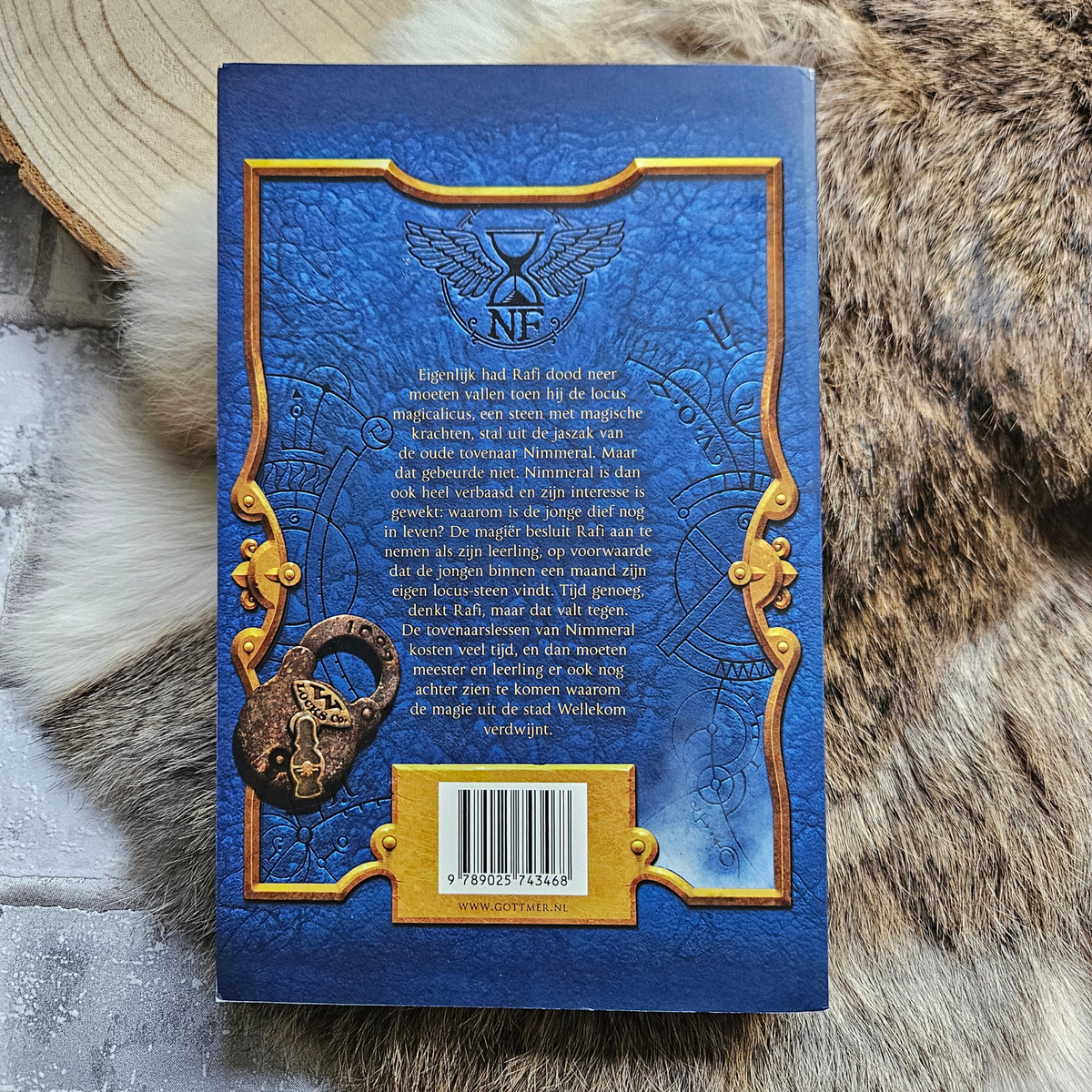 De dief en de magiër – Sarah prinseas – Paperback