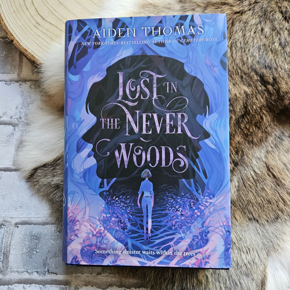 Lost in the never woods – Aiden Thomas – Engels – Hardcover